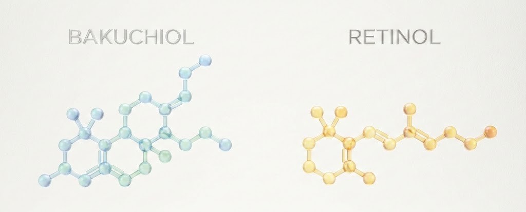 Molecular structure comparison of bakuchiol and retinol