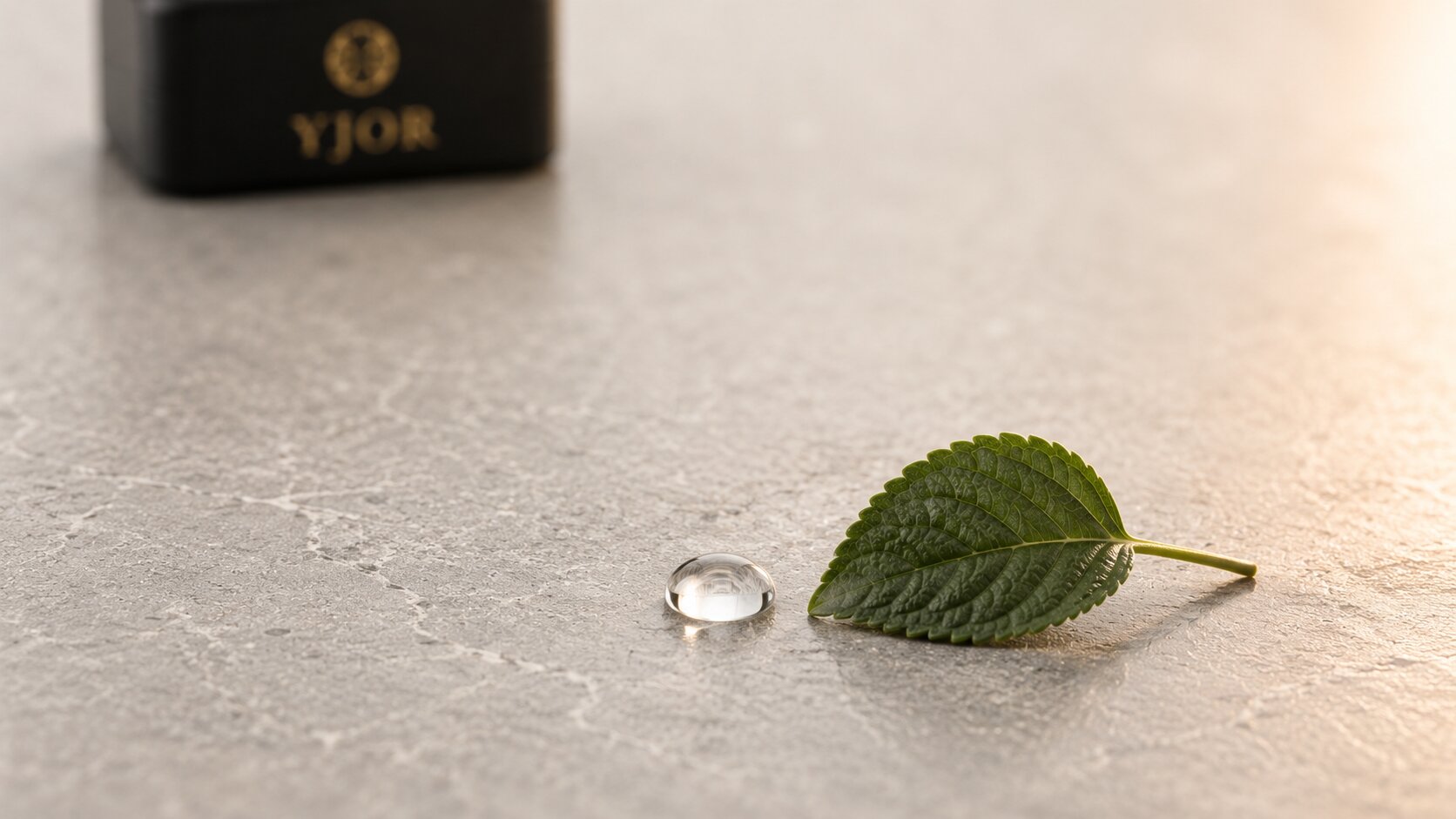 A single fresh bakuchiol leaf and one clear water droplet on dark honed stone — a study in restraint